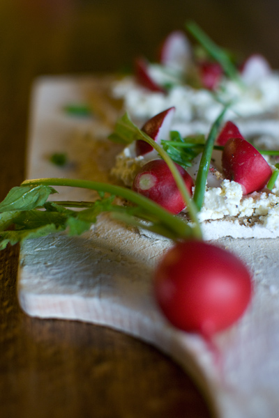 Radis et fromage blanc de Bruxelles